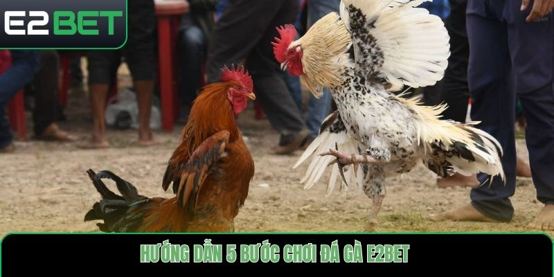 Hướng dẫn 5 bước chơi đá gà E2bet